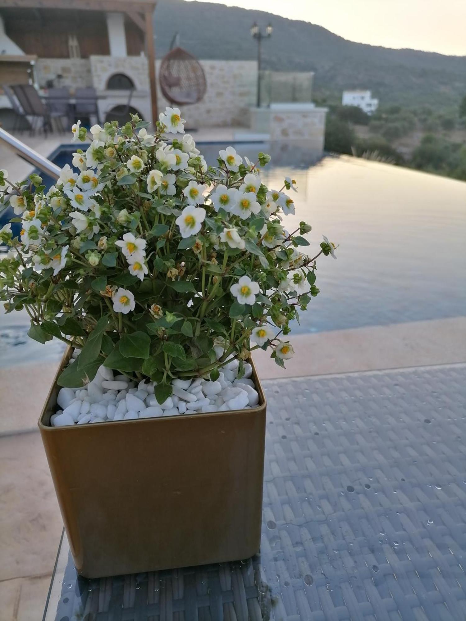 Villa Halepouri Chania  Exterior foto